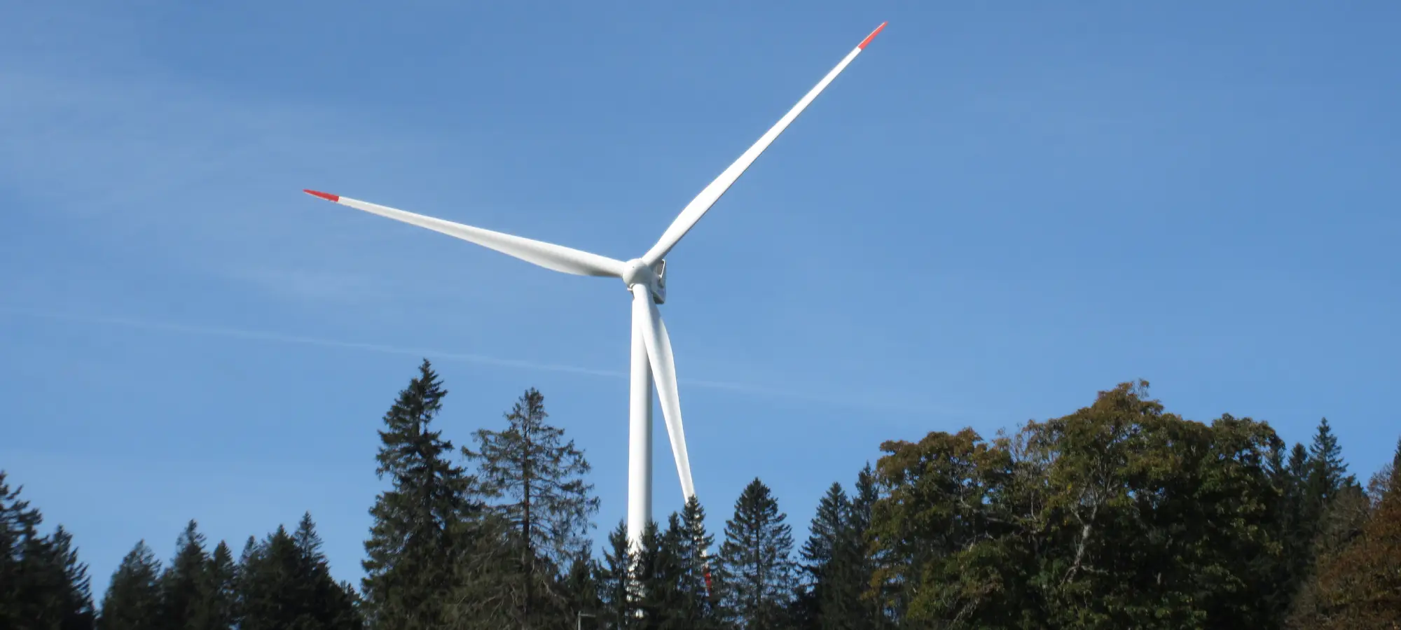 Eolienne dans les arbres