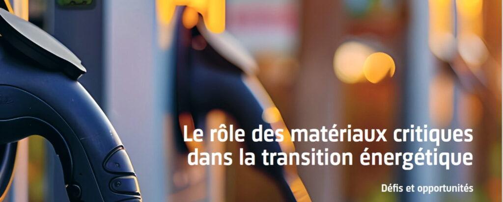 Académie suisse des sciences: Matériaux critiques